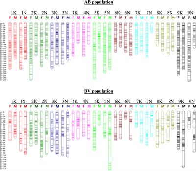 Genotyping-by-Sequencing and QTL Mapping of Biomass Yield in Two Switchgrass F1 Populations (Lowland x Coastal and Coastal x Upland)